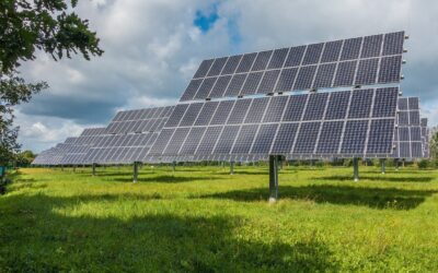 Large solar panels on poles in a green field