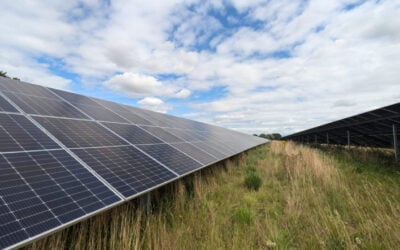 solar panels from a low close up angle