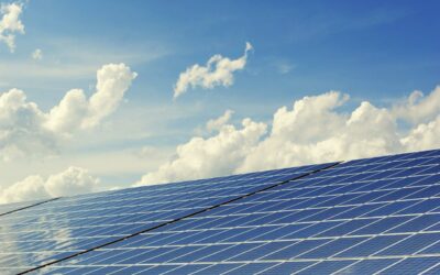 Solar panels below a clear blue sky