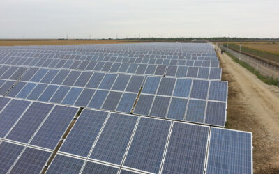 solar_park_tamesol