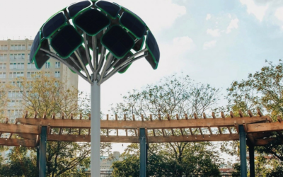 solarbotanic_tree_charger_ev_charging_Image_SolarBotanic