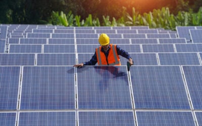 a man in high visibility safety gear stands surround by rows of solar panels