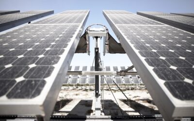 Totana solar plant_ panels