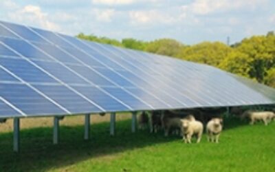 temp_file_British_Solar_Renewables_solar_farm2_230_150_s_c1