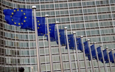 temp_file_EUflags-DECC4