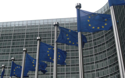 temp_file_European_Commission_flags4
