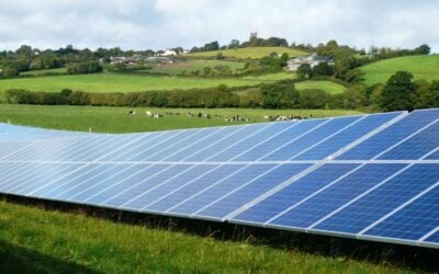 temp_file_Lightsource_Solar_Farm7