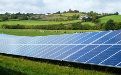 temp_file_Lightsource_Solar_Farm8