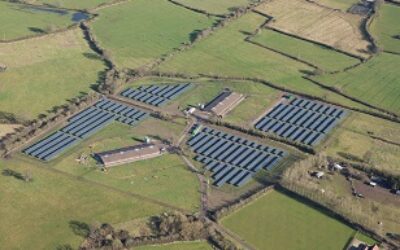 temp_file_Solar_Farm_Lightsource2