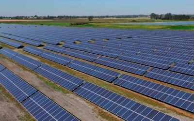 temp_file_Solar_Park_-_Lightsource_Renewable_Energy_Ltd3