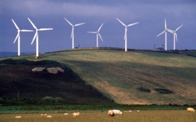 temp_file_UK_WindFarm4