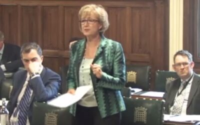 temp_file_andrea_leadsom1