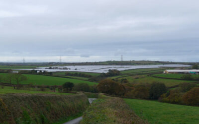 temp_file_canworthy_water_solar_farm_cornwall_primrose_solar1