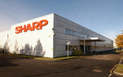 temp_file_sharp_plant_wrexham1