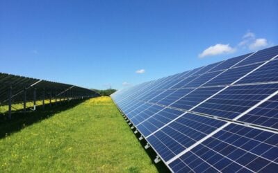 EDF Renewables’ Longfield Solar Energy Farm won 299MW in AR6. Image: EDF Renewables.