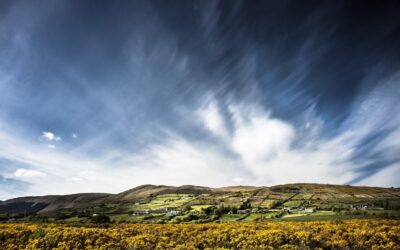 RESS 4 mitigates the lack of success in RESS 3, making Ireland’s capacity targets seem “more achievable”. Image: Christian_Birkholz (Pixabay).
