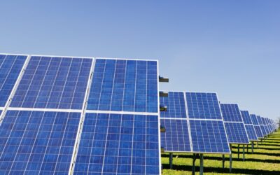 The planning inspectorate will now pass their recommendation regarding the project to the Secretary of State in early August. Image: West Burton Solar Project.