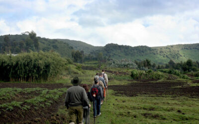 virunga_photo