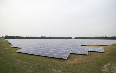 A solar farm based in West Suffolk