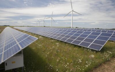 Solar panels on dark green grass stretch away from the camera under a blue sky with wind turbines in the background.