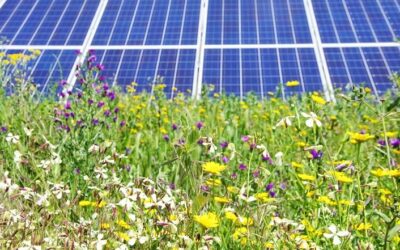 Solar Farm UK 2024