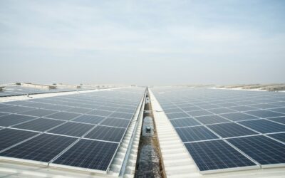 wolsley_solar_panels_9