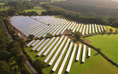 wyld-meadow-solar-park-British_Solar_Renewables